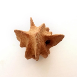 estudio stendhal arte punso 3