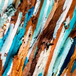 estudio stendhal arte serie eucalipto miniatura