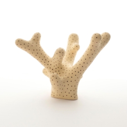 estudio stendhal tienda arte horn 2